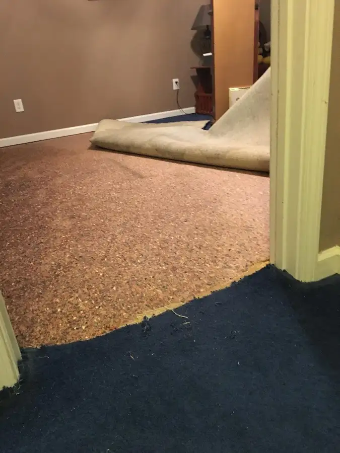 Carpet pad removal revealing water damage during Drying & Dehumidification in Hornsby Bend
