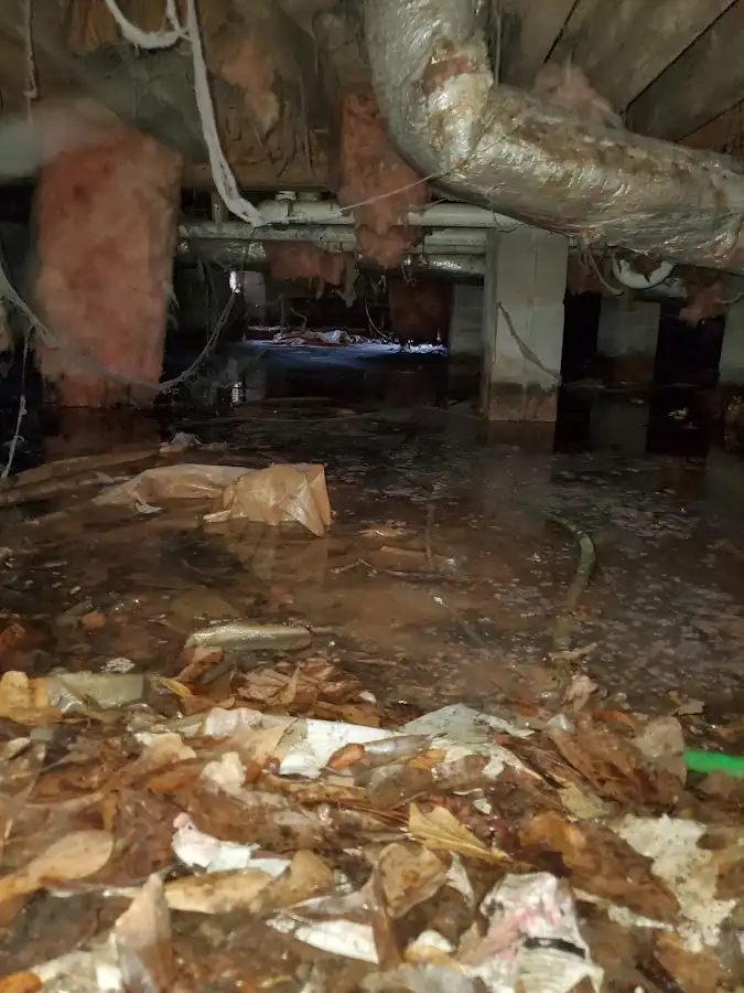 Crawl space flood assessment for Commercial Water Damage Restoration in Hornsby Bend