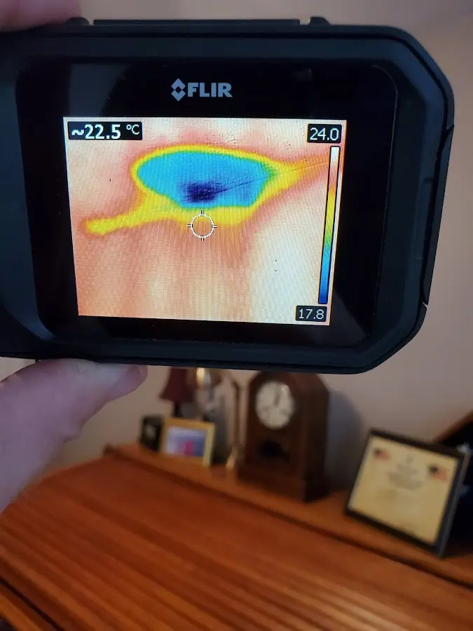 Thermal imaging inspection for water damage in Hornsby Bend