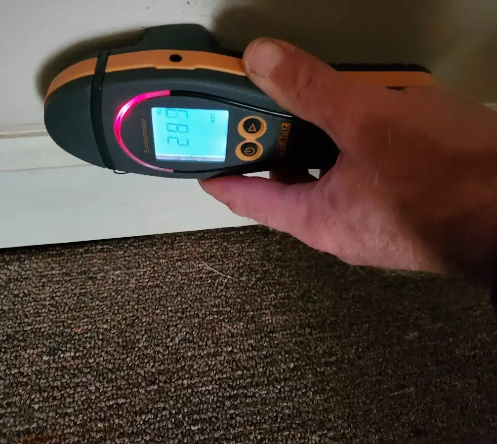 Moisture detection at baseboard during Sewage Cleanup & Sanitation in Hornsby Bend